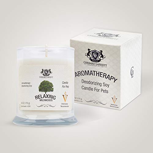 Wildwoods (Cedarwood & Vanilla) Aromatherapy Deodorizing Soy Candle for